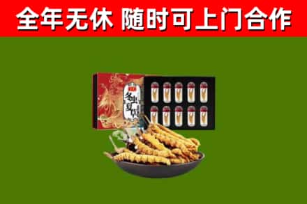 岢岚县回收冬虫夏草价格